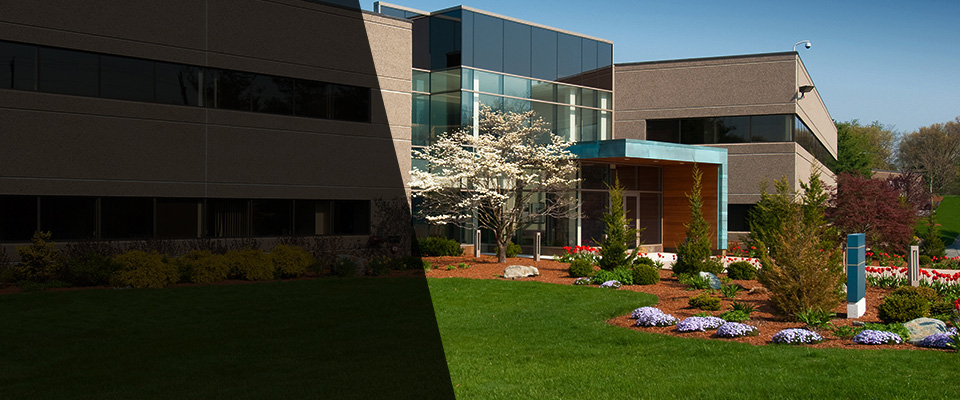 Laguna Woods Landscapers