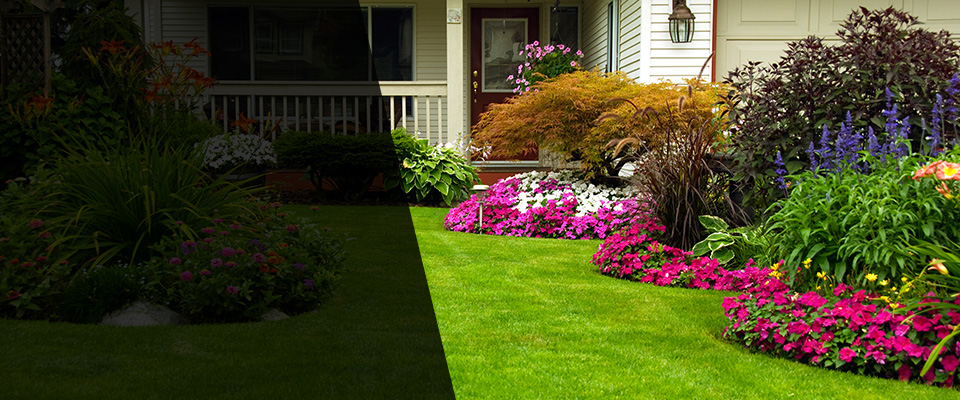 Laguna Woods Landscapers