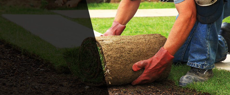 Laguna Woods Landscapers